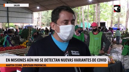 En Misiones aún no se detectan nuevas variantes de Covid