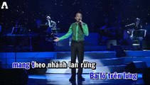 Nhánh lan rừng - Việt Hoàn