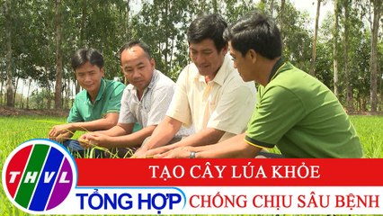 Nông nghiệp bền vững: Tạo cây lúa khỏe, chống chịu sâu bệnh