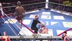 10 MOST UNUSUAL KNOCKOUTS IN SPORTS