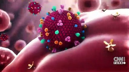 DSÖ uzmanı Hindistan mutasyonuna karşı uyardı