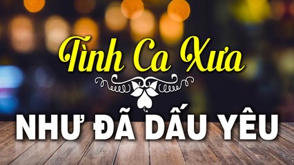 NHƯ ĐÃ DẤU YÊU, GIỌT NẮNG BÊN THỀM - Dòng Nhạc Tình Ca Xưa Hải Ngoại Buồn Nhất Khi Nghe Về Đêm