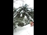بالفيديو - ميريام كلينك بالبيكيني على الثلج