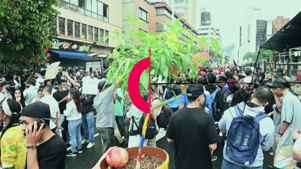 Des centaines de personnes pour la légalisation du cannabis dans les rues de Medellin