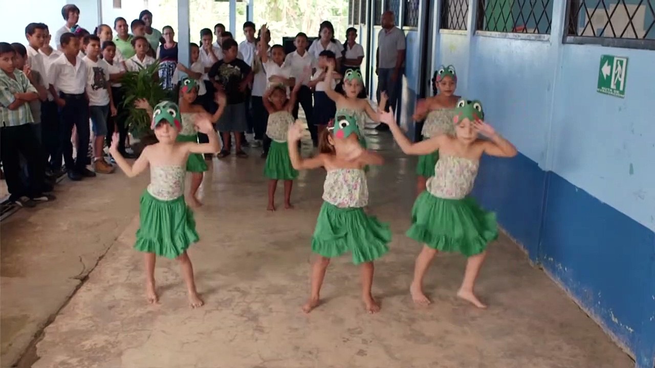 Healthy Eating: An Introduction For Children Aged 5-11