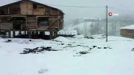 Mayıs karına Rizeli vatandaştan ilginç tepki