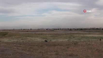 Suriye sınırı 'güvenlik duvarı' ile örüldü