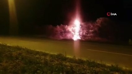 Bursa'da korku dolu anlar! Alev topuna döndü