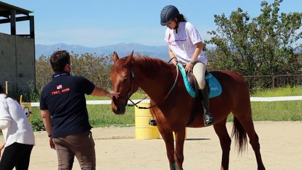 Как лошади помогают людям справляться с тревогой