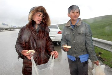 Otoyolda mantar satan çocukların yağmur altında ekmek parası mücadelesi