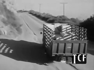 Highway Patrol 131 In Trojan Horse