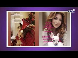 Download Video: خلاف نوال الزغبي و إليسا يعود إلى الواجهة من جديد ولكن هذه المرة لن تصدقوا ماذا حصل!