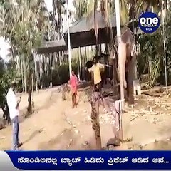 FEEL GOOD STORY: ಈ ಆನೆಗೆ ಕ್ರಿಕೆಟ್‌ ಅಂದ್ರೆ ಅಚ್ಚುಮೆಚ್ಚು... ಆನೆಯ ಬ್ಯಾಟಿಂಗ್‌ ಸ್ಟೈಲ್‌ ಗೆ ನೆಟ್ಟಿಗರು ಫಿದಾ, | Oneindia Kannada