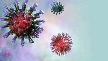 Chinese Scientists Discussed Weaponising Coronavirus in 2015_ Report, चीन ने कोरोना फैला छेड़ी जंग