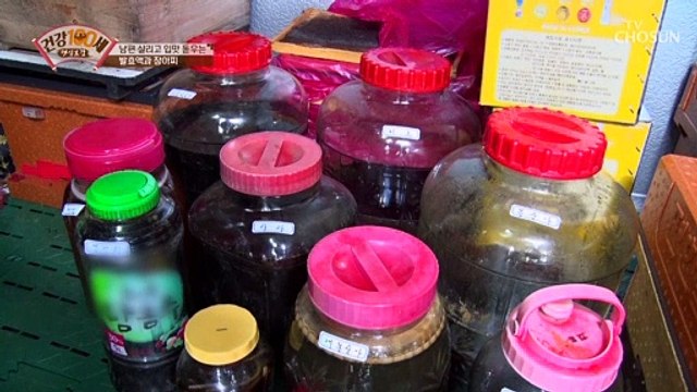 맛있는 약이 있다!? 조미료❌ 발효액 OK TV CHOSUN 210510 방송