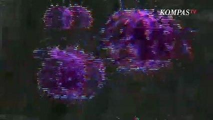 Mengapa Pasien yang Sudah Negatif Covid-19 Bisa Kena Badai Sitokin?