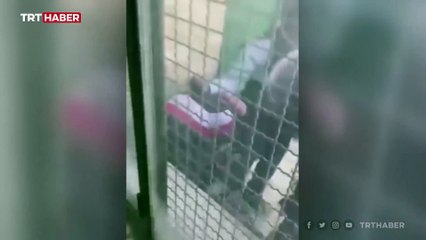 İsrail güçlerinin Filistinli gence şiddet uyguladığı anlar