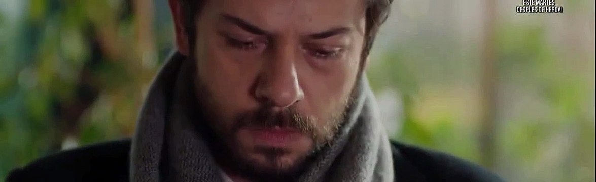Hercai Cap 345 Completo Hercai Cap 345 Completo Hercai Cap 345 Completo