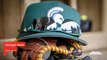 Michigan State Baseball Drops Two of Three to Wolverines