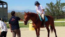 Ein sanfter Therapeut: Wie Pferde bei Coronadepressionen helfen