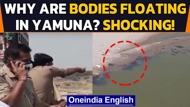 UP: Many dead bodies found floating in Yamuna in UP's Hamirpur, linked to Covid-19?| Oneindia News