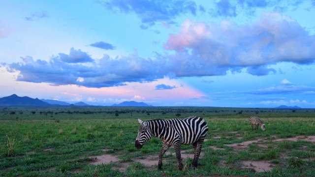 The Best National Parks in Uganda for Beautiful Views, Wildlife, and Lodges