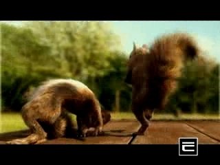 PUB MINI BN ECUREUILS