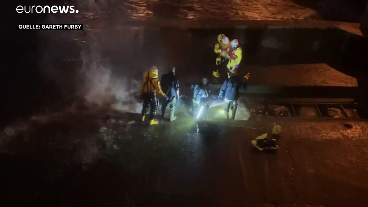 Walfang mal anders in London: 4-Meter-Säuger entkommt bei erstem Versuch