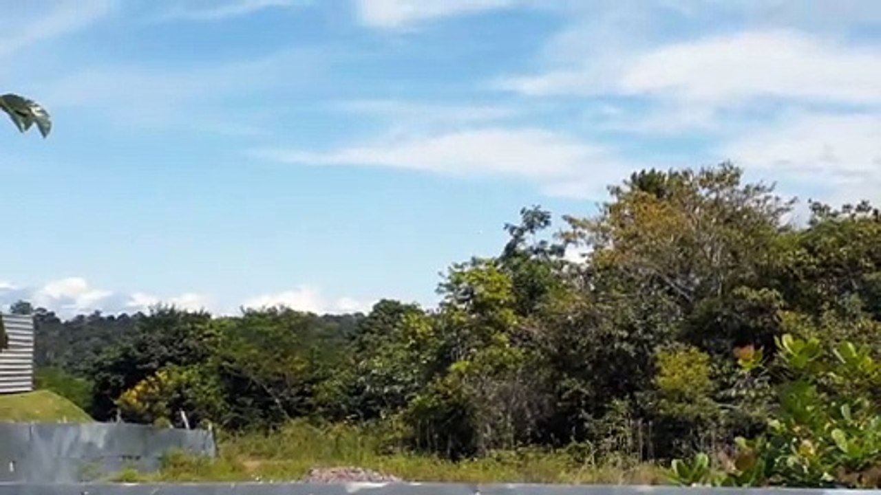 Airbus A321 PT-MXL na aproximação final antes de pousar em Manaus vindo de Brasília