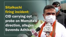 Sitalkuchi firing incident: CID carrying out probe on Mamata's direction, alleges Suvendu Adhikari