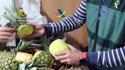 ext-píñas-rellenas-de-cocaína-100521