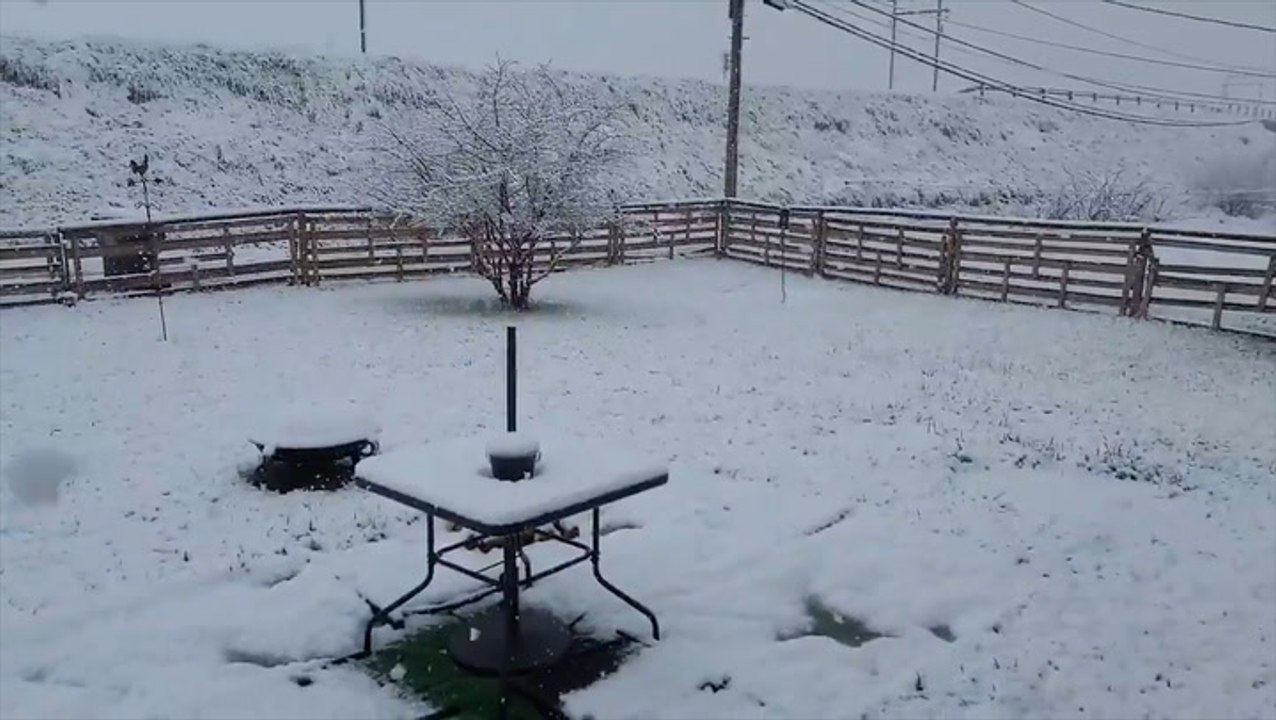 A springtime winter wonderland