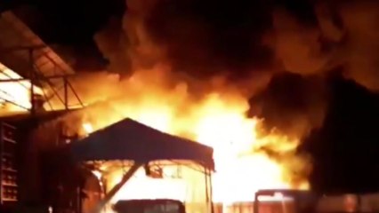 전남 보성 버섯재배농장에서 불...한때 대응 1단계 / YTN