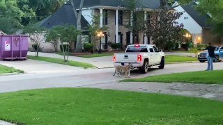 Tiger Roaming in Houston, Texas Neighborhood!