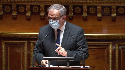 «"Nous n’avons pas voulu constitutionaliser le doute"