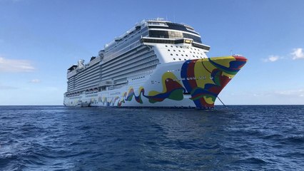 Norwegian CEO Says Company May Skip Florida Ports Due to State's Vaccine Law