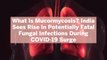 What Is Mucormycosis? India Sees Rise in Potentially Fatal Fungal Infections During COVID-