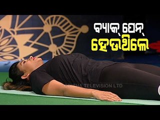 Roga Pain Yoga For Lower Back Pain