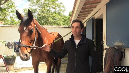 Entrevistamos a Eduardo Álvarez Aznar, jinete español número 1 en salto