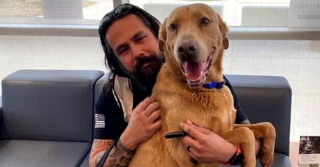 Sorprendente historia: hombre se reencuentra con su perro luego de más de cuatro años perdido