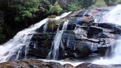 rain sound with birds | slow rain sound for deep sleep and meditation