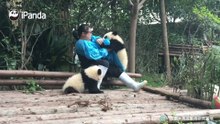 当小熊友太过热情怎么办