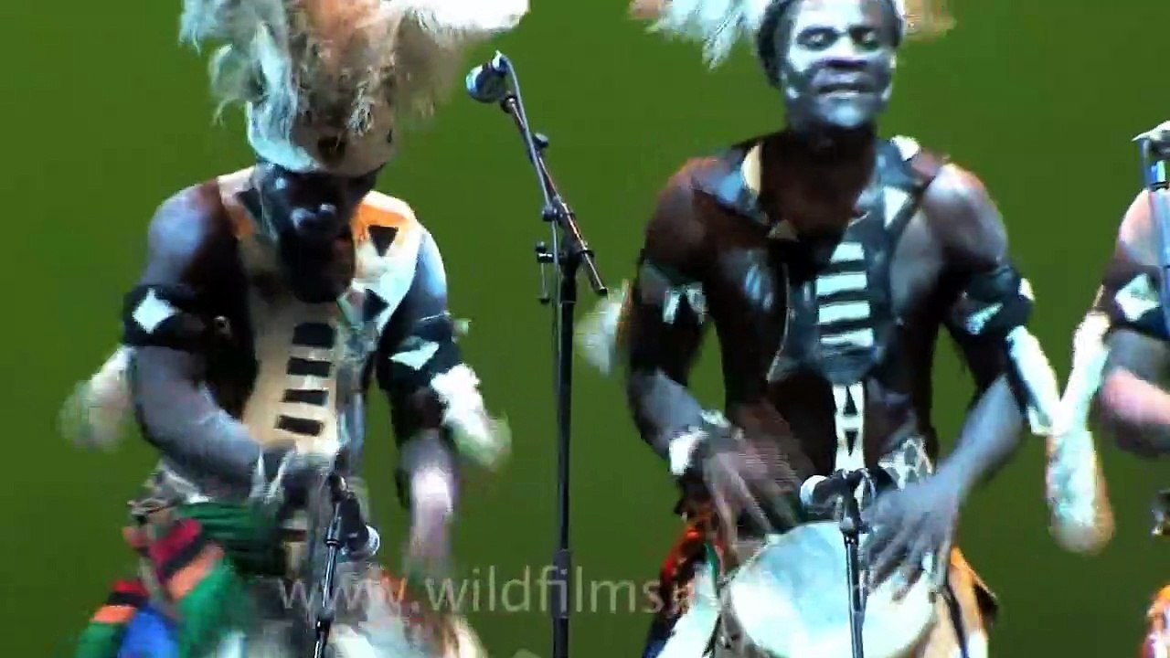 The Zambian Cultural Dance Troupe from Africa!!