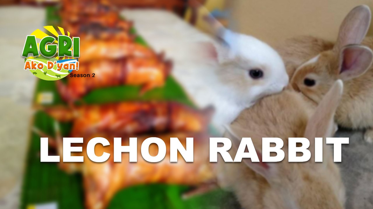 “LECHON RABBIT” Ep.23 AGRI Ako D’yan - video Dailymotion