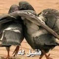 كيف تعرف اخاك او صديقك الحقيقي؟