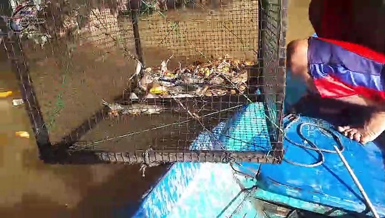 Pesta Udang Galah Monster Berlumut Ramadhan 2019 Endingnya Menggoda Iman #107