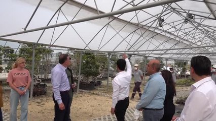 EXPO 2021 seralarında aylık 20 bin süs bitkisi yetiştiriliyor