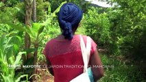 Mayotte - Le jardin traditionnel mahorais