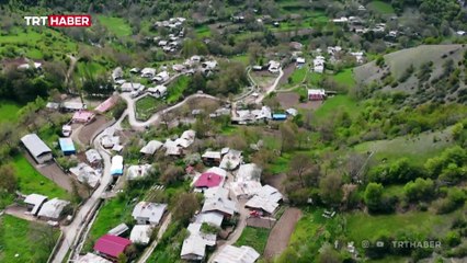 Artvin peynirli köyündeki 350 tonluk kaya olduğu yere sabitlendi