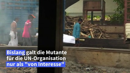 WHO: Indische Corona-Variante "besorgniserregend"